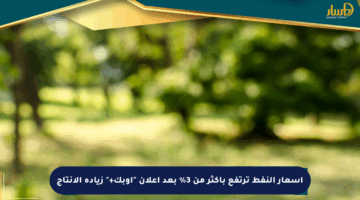 أسعار النفط ترتفع بأكثر من 3% بعد إعلان “أوبك+” زيادة الإنتاج